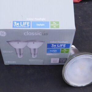 Classic LED Indoor Floodlight 75 W